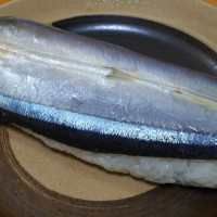 みんな大好きサンマのお寿司