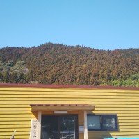 弊社事務所と青空とスギ林?