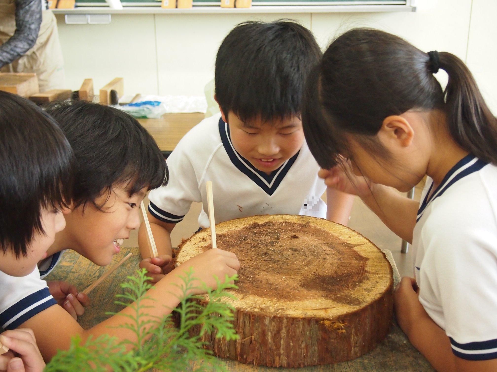 木育・環境教育 Education 木育・環境教育 Education
