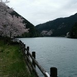 【告知】木粉メーカーも大興奮！お花見カヌー体験@春のさくら祭り4/2(日）