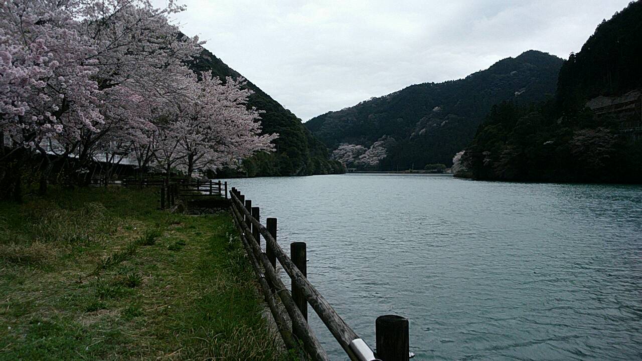 【告知】木粉メーカーも大興奮！お花見カヌー体験@春のさくら祭り4/2(日）