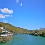 あじさい湖さくら祭りお礼 ~木粉メーカーのカヌー・サップ体験記!~