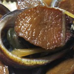 トコブシの煮つけ ~木粉メーカーの食卓~