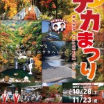 H29 ナカまつり ~徳島・那賀町でおまつり盛りだくさん!~