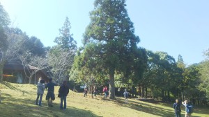 那賀町・あいあいらんどで林業体験！　12/3(日)