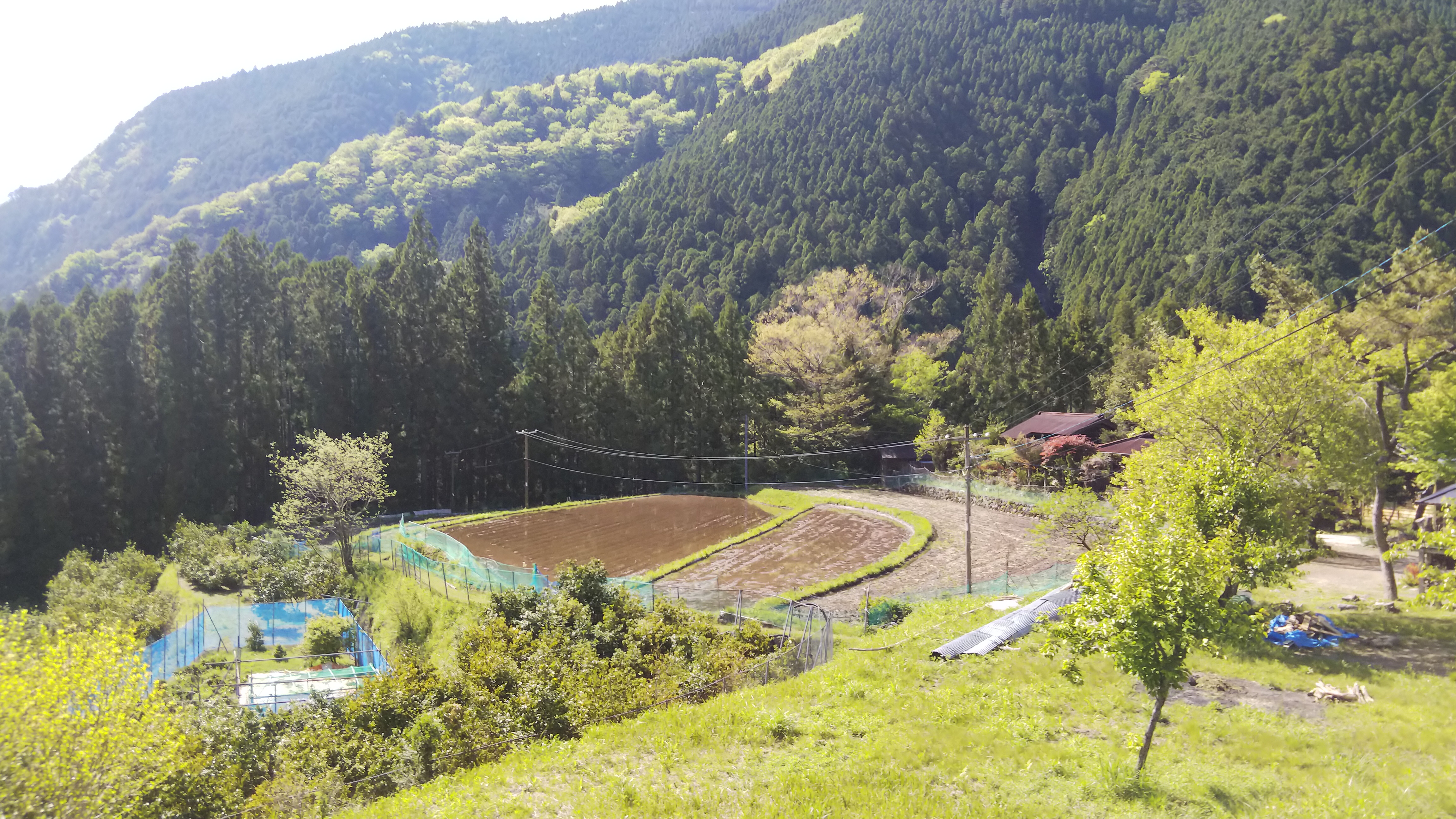 農山村地の春の様子@木沢地区