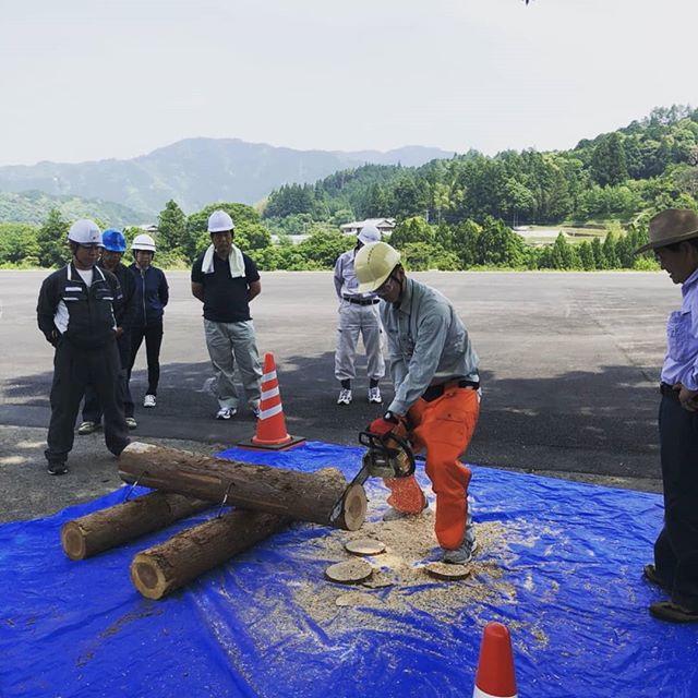 那賀町林業ビジネスセンターで開催された「チェンソー研修」に参加しました！