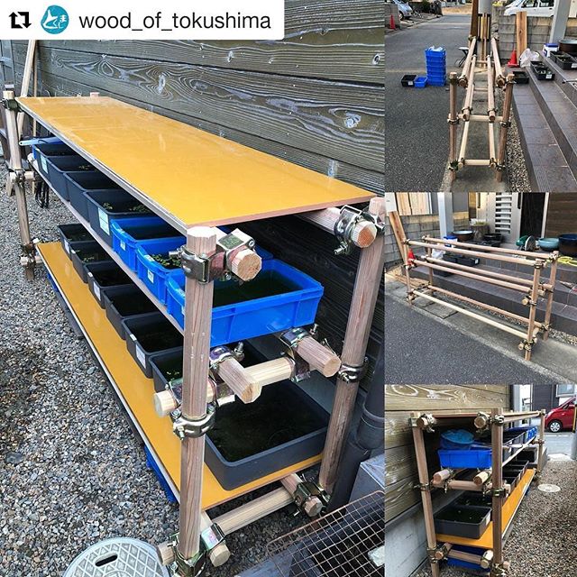 那賀ウッドも販売店となっている「しっかり支柱」多用途にお使いいただけます！#Repost @wood_of_tokushima (@get_repost)・・・「しっかり支柱」でメダカ棚作りました！なんと、改良されたしっかり支柱販売第一号！支柱使いはもちろん、工夫次第で屋内外どこでも使える逸品！スギの香りもプンプン。防腐処理したスギ八角材。八角柱だけに直交クランプでしっかり固定。屋根材や敷板には合板。#とくしま木づかい県民会議 #木材 #徳島県 #しっかり支柱 #平井製材所 #メダカ棚