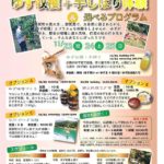 11/24(土)SUP体験in那賀町川口ダム湖