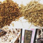 杉と竹のチップ  発酵により温まってます！