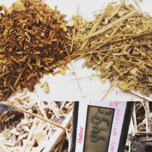 杉と竹のチップ  発酵により温まってます！