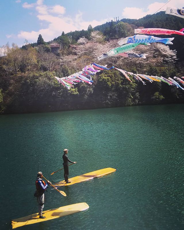 徳島県那賀町でさくら満開のお花見ＳＵＰ！