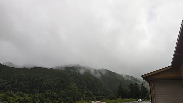 梅雨入りの那賀町から安定した木製品をお届けします