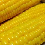 那賀町グルメシリーズ木沢のトウモロコシ
