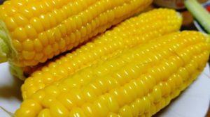 那賀町グルメシリーズ木沢のトウモロコシ