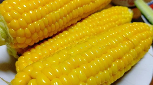 那賀町グルメシリーズ木沢のトウモロコシ