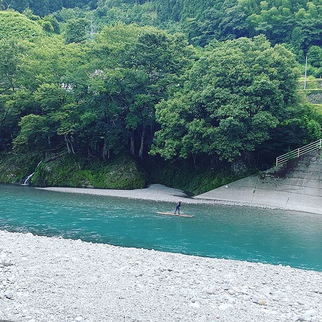 まなびーあ徳島  木頭杉一本乗り体験講座