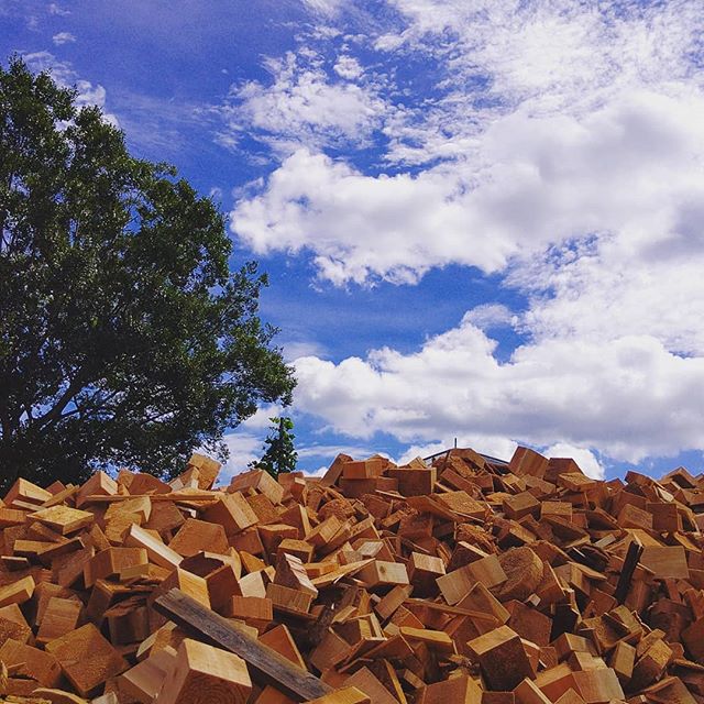 木粉材料の製材端材暑すぎるくらいのいい天気️ 乾燥も進み木粉日和です#木粉 #木頭杉 #徳島 #那賀町 #夏