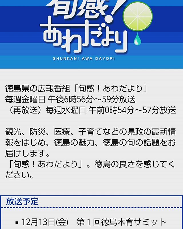 今日の旬感あわだより 木育サミットの特集です！