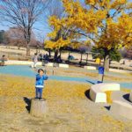 切り株おいとくだけで立派な遊具に!