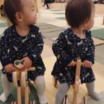 森のわくわくの庭 養老レポート 2