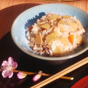 グルメシリーズ　タケノコごはんと梅の花