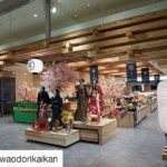 阿波おどり会館リニューアル　木頭杉の塗り壁（＾＾）