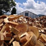 梅雨の晴れ間　端材乾燥中♪