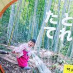 シンプルデザインでカッコいい! 木粉Ecoうちわ