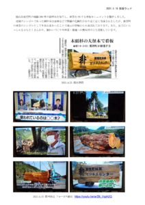 木頭杉の看板モニュメント メディア紹介情報