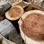 那賀高校・森林クリエイト科の実習丸太を木粉に活用!【SDGs】