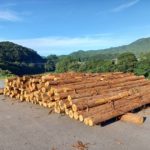 認証材の木粉加工