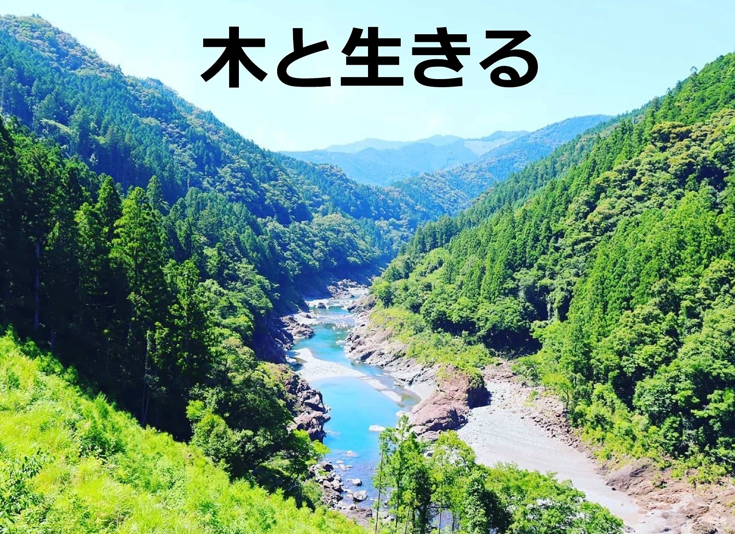 2021.山の日に森林について考える