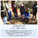 コンサルも対応!木に関するお悩みはなんでもご相談ください!