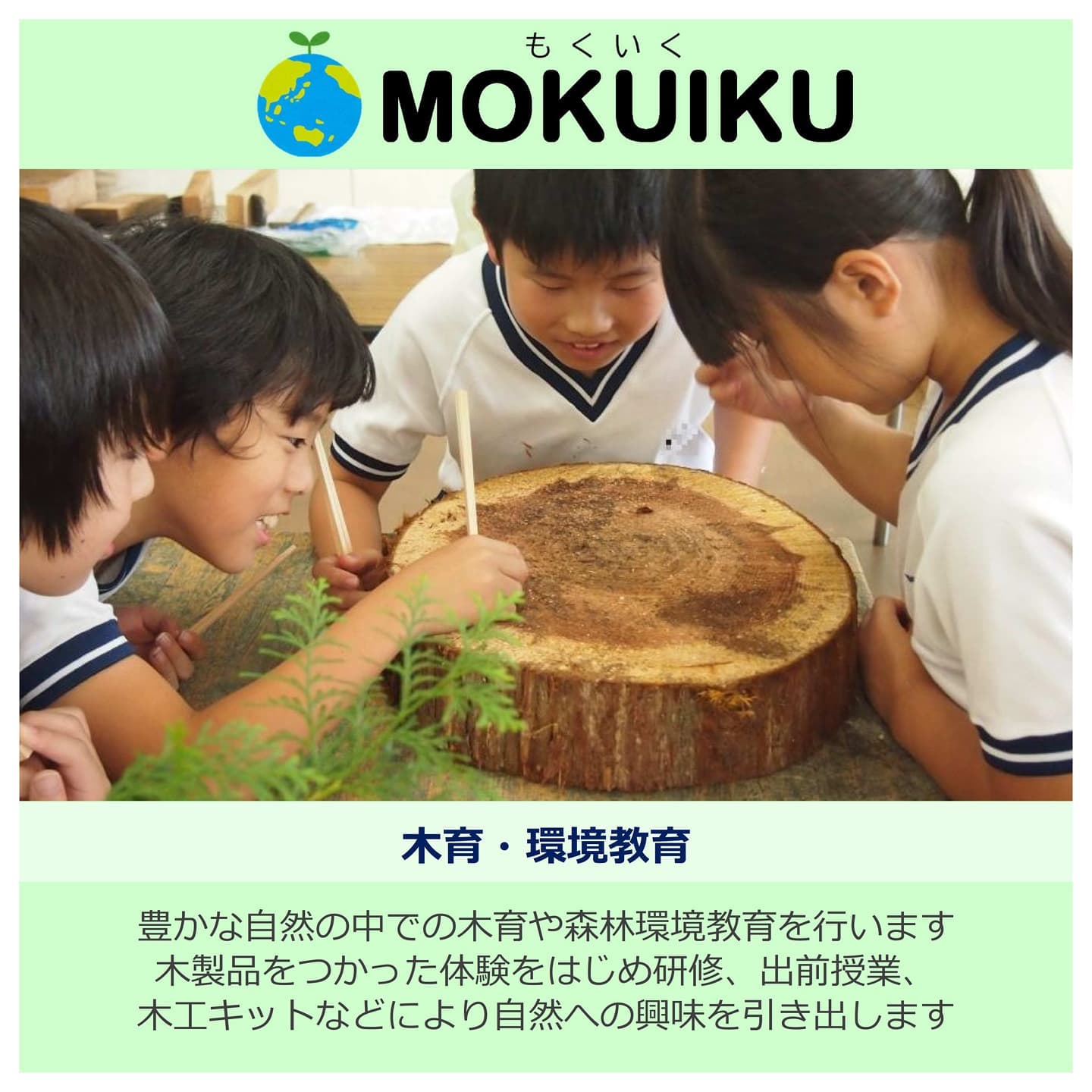 MOKUIKU 豊かな自然の中での体験や森林環境教育