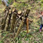 シイタケ栽培チャレンジ