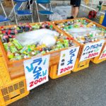 「木頭杉の水槽」がお祭りで大活躍!