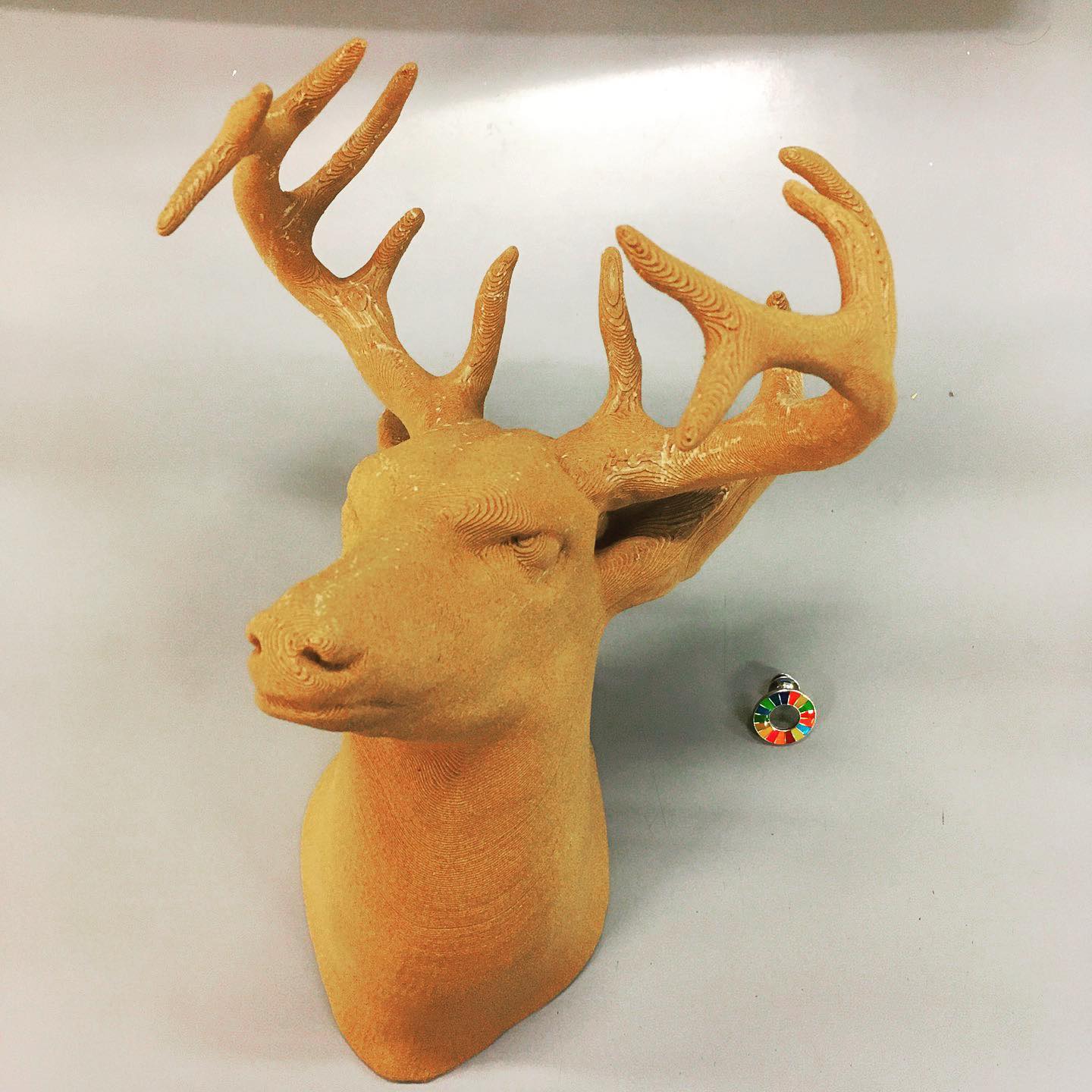 木粉3Dプリント鹿山で森の那賀町といえば杉🌲と鹿🦌まあまあデカい造形にもチャレンジ！木の可能性が広がってます🌲🌲🌲#木粉 #3d #3dプリンター #3dプリント #木づかい #杉 #コンパウンド #wood #木 #3dprinting #鹿 #deer #徳島 #那賀町 #japan #interior #interiordesign #wood #nakawood