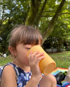 こどもも使いやすい『木粉のカップ』展示会に出展します