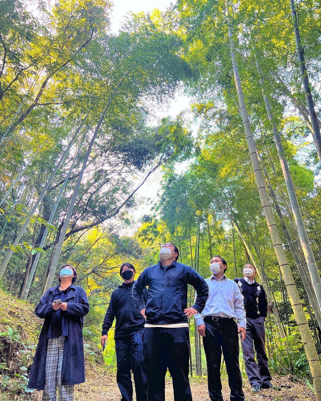 竹林も『森林』竹粉の活用についても検討しています!