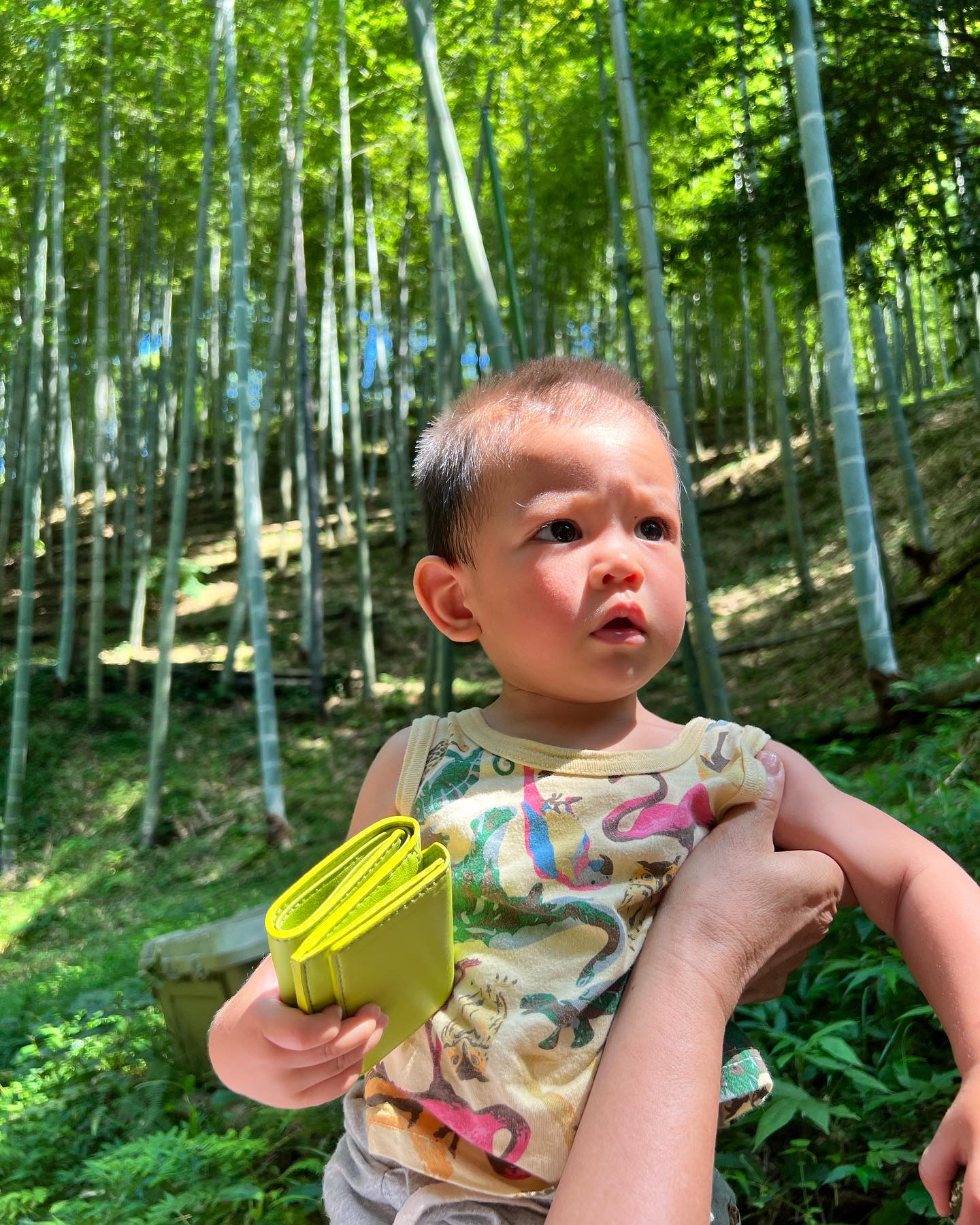 赤ちゃんの森林•竹林浴
