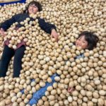 木のボールで楽しく遊ぶならココ！ 那賀町山のおもちゃ美術館