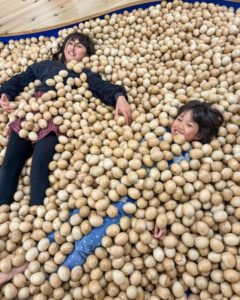 木のボールで楽しく遊ぶならココ！ 那賀町山のおもちゃ美術館