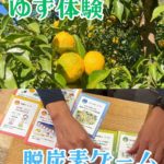 那賀町山のおもちゃ美術館さんにて11/1にゆず体験のイベント開催！