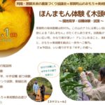 11/1(日)木頭ゆずを丸かじり？那賀町山のおもちゃ美術館ほんまもん体験